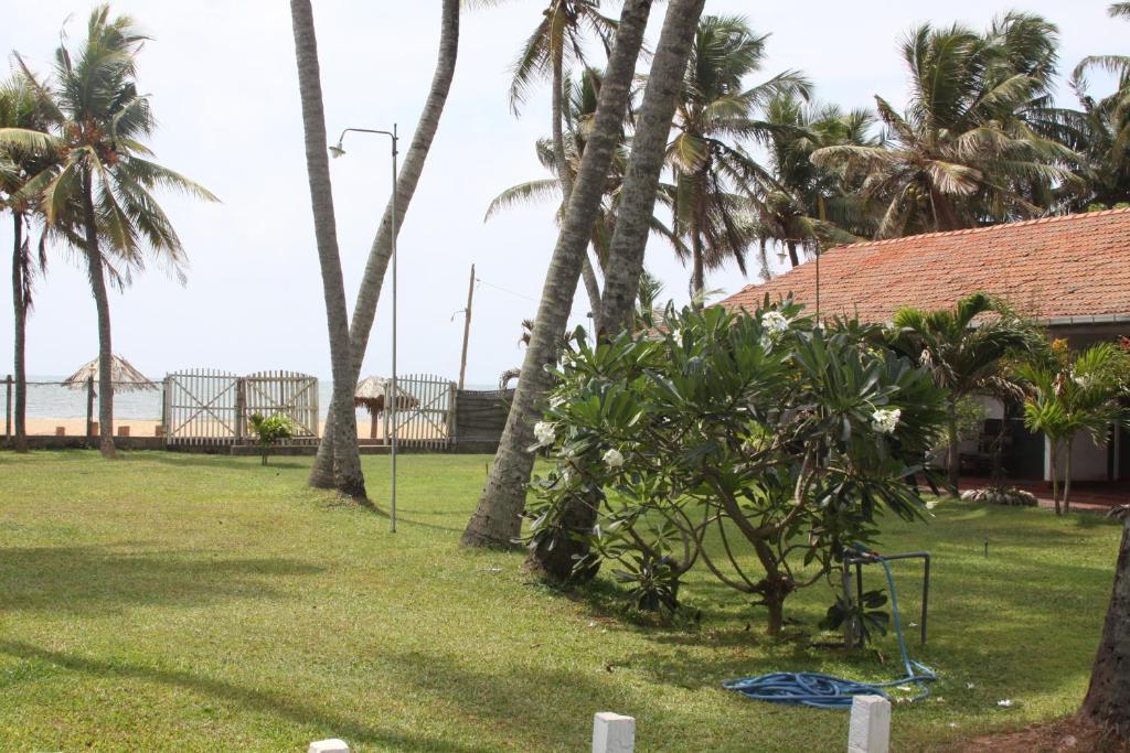 Ceylonica Beach Hotel Negombo Esterno foto