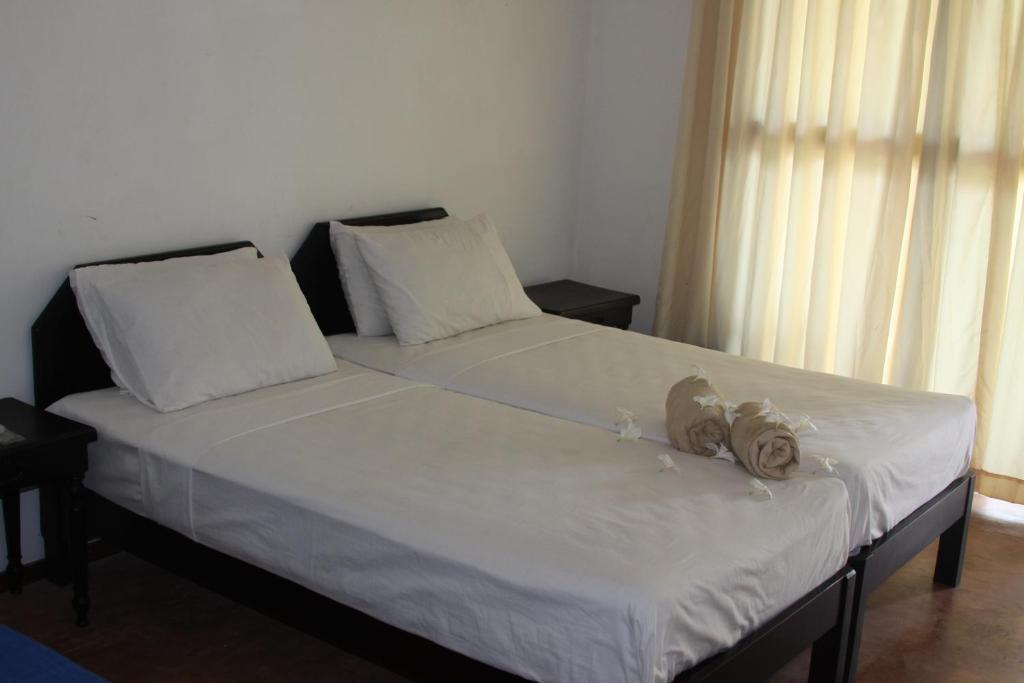 Ceylonica Beach Hotel Negombo Esterno foto