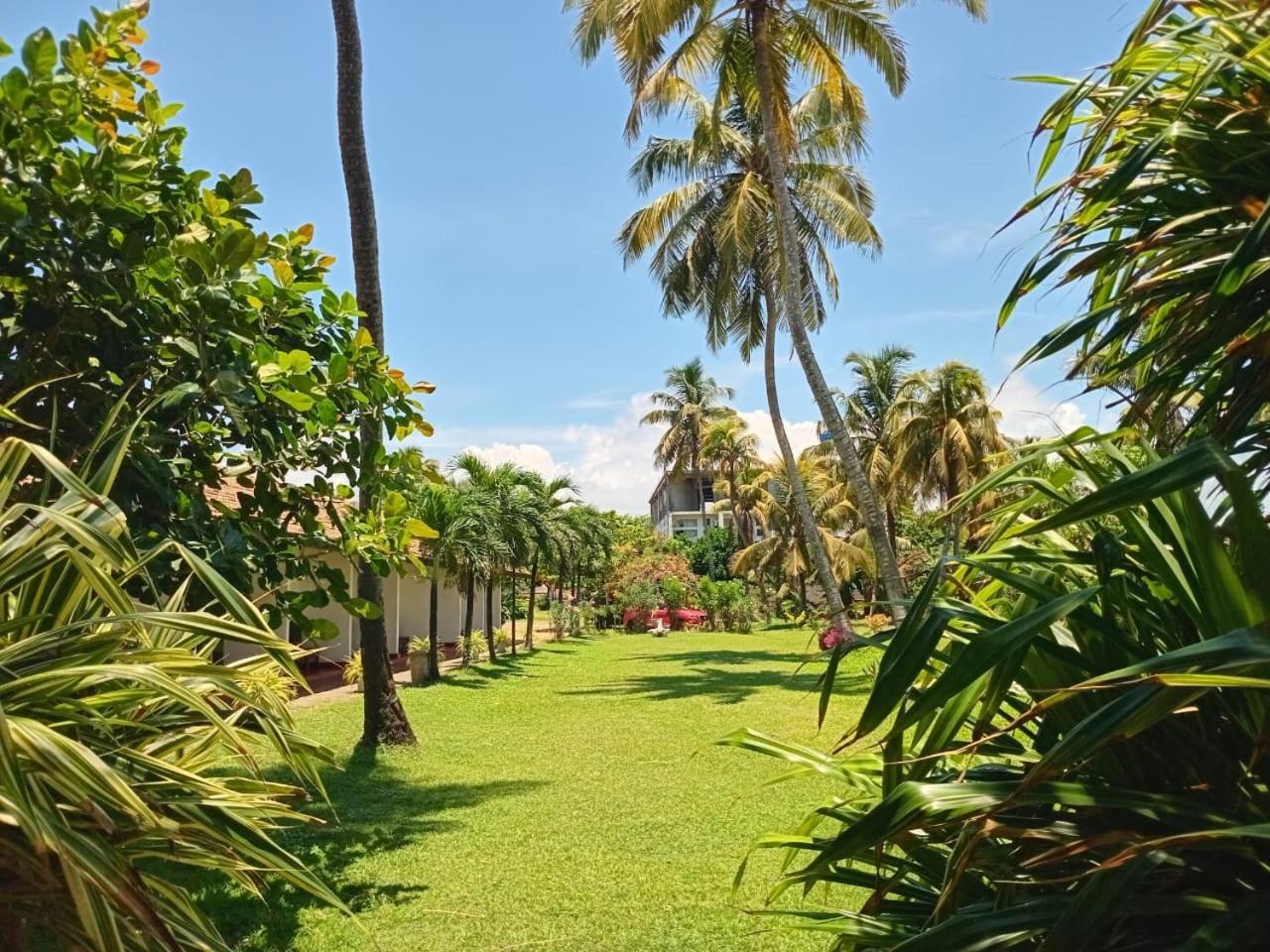 Ceylonica Beach Hotel Negombo Esterno foto