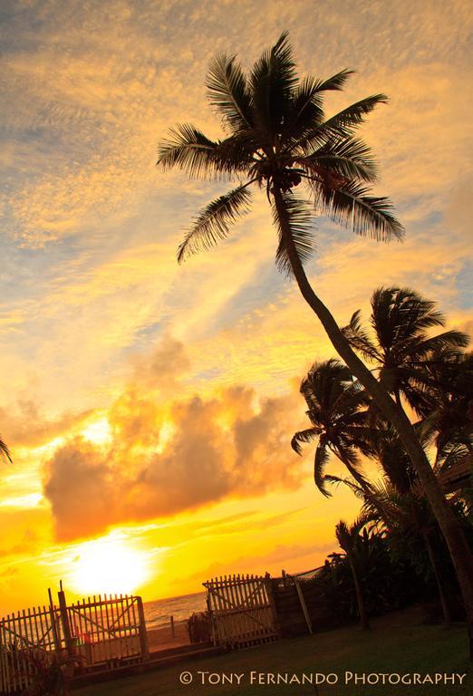 Ceylonica Beach Hotel Negombo Esterno foto