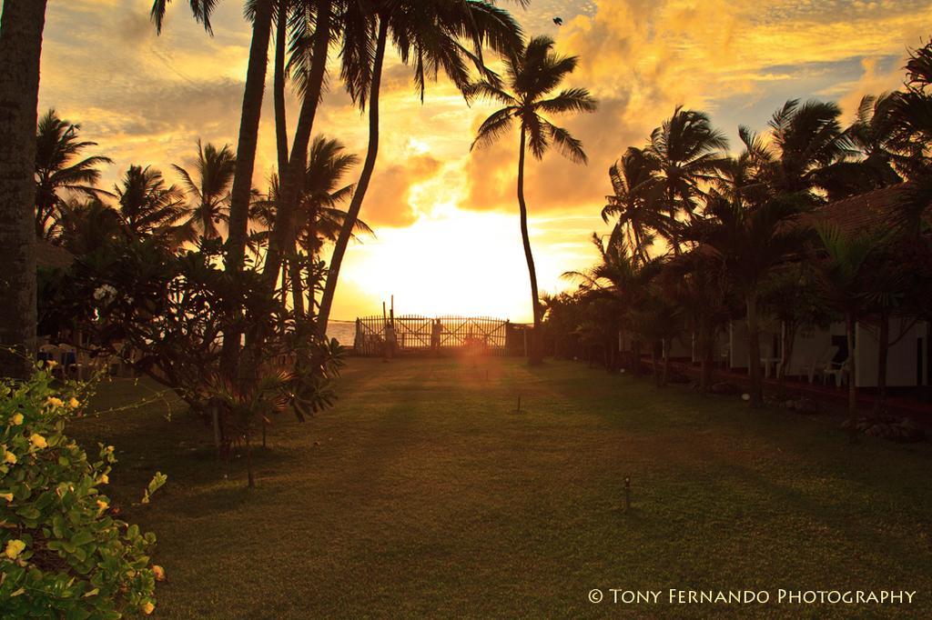 Ceylonica Beach Hotel Negombo Esterno foto
